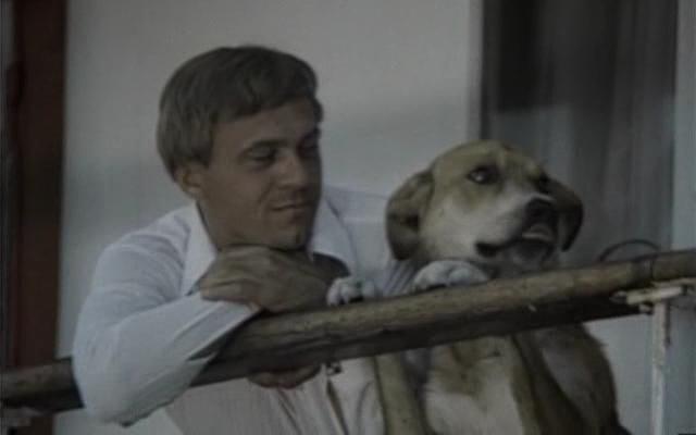 Солёный пёс