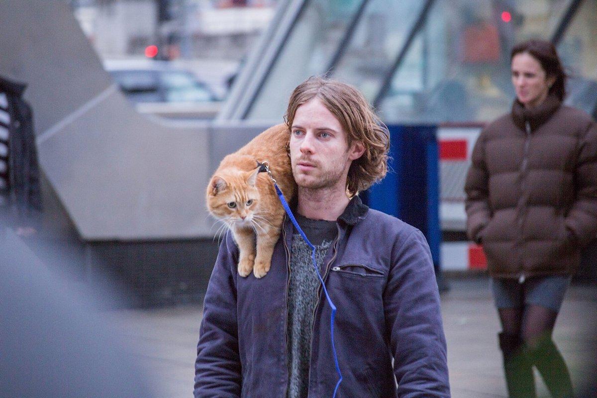 Уличный кот по имени Боб