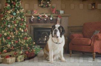 Новогодние фильмы про собак